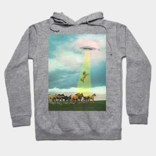 They too love horses Hoodie